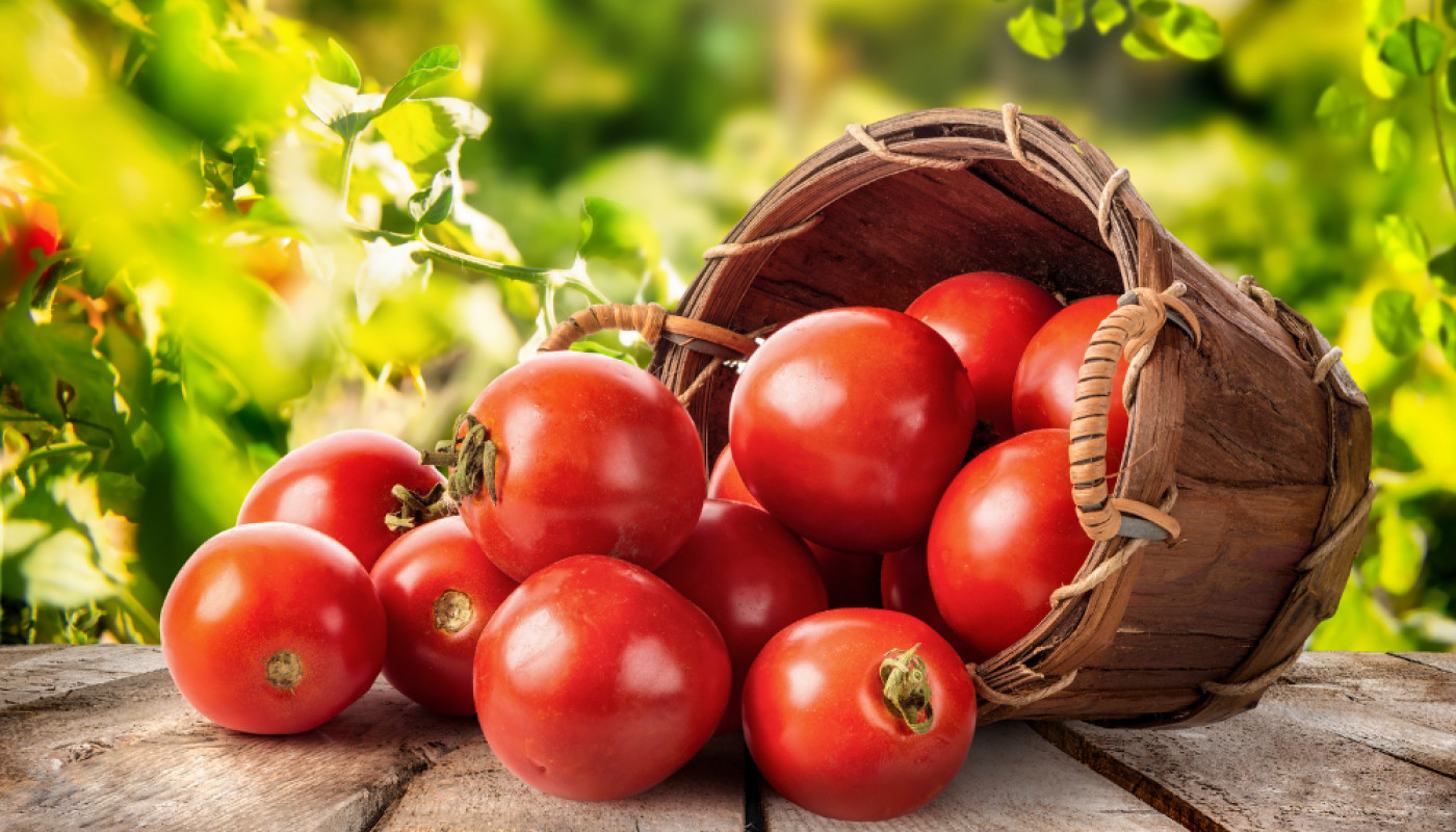 La certification agroalimentaire : IFAC vous accompagne dans vos démarches qualité