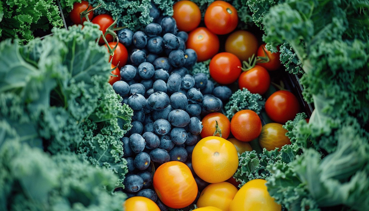 Cultures de superaliments dans un petit espace techniques et astuces